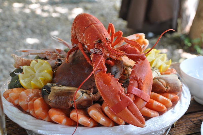 Coastal Bites