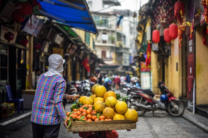 Street Food Haven